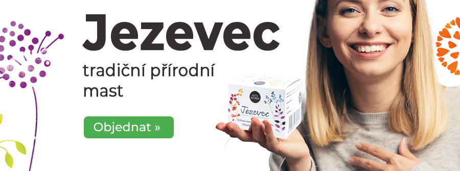 jezevci-mast-hrudnik-zada