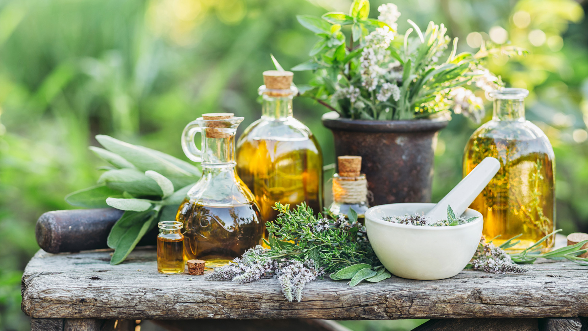 https://www.altaherba.cz/image/cache/catalog/blog/banner-blog-bylinky-1920x1080.jpg