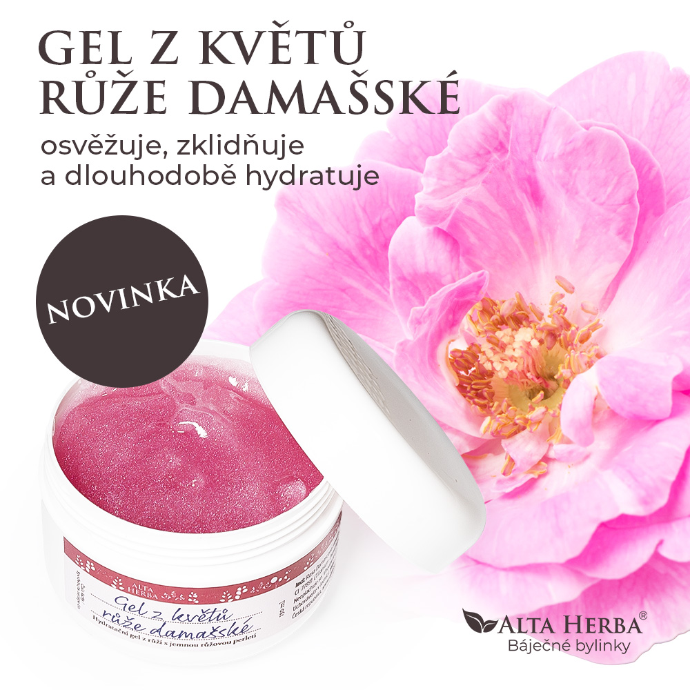 Gel květ růže damašská