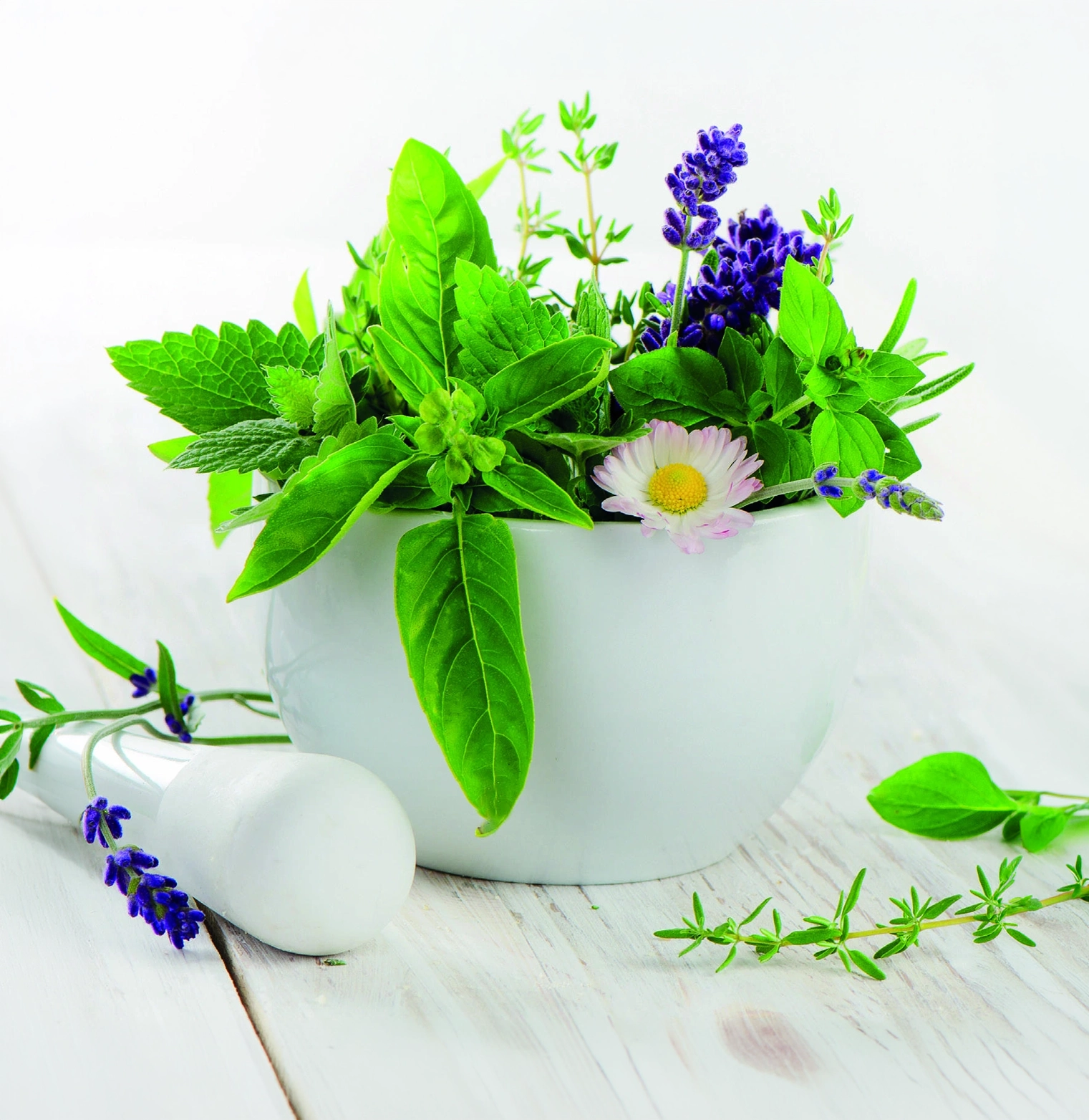 Bylinky Alta Herba